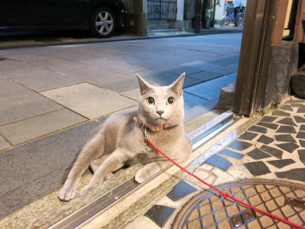 Fujiya Ryokan Kyoto Luaran gambar